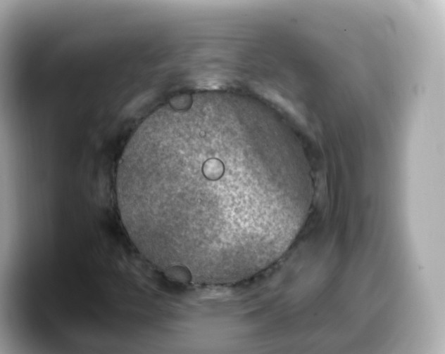 X0000099571446200805231522