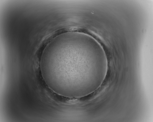 X0000099571447200805231522