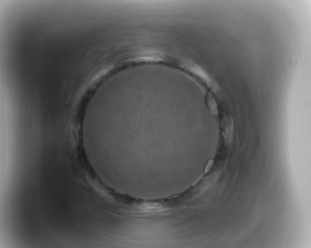 X0000099571448200805231522