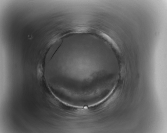 X0000099571449200805231522