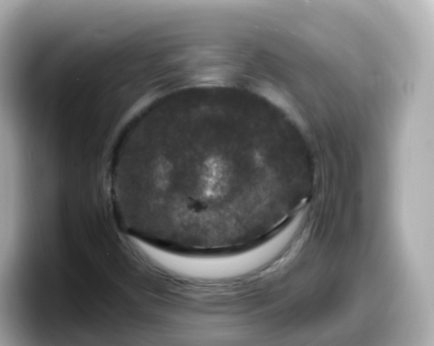 X0000099571450200805231522