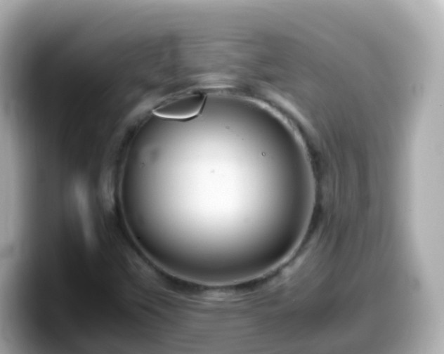 X0000099571451200805231522