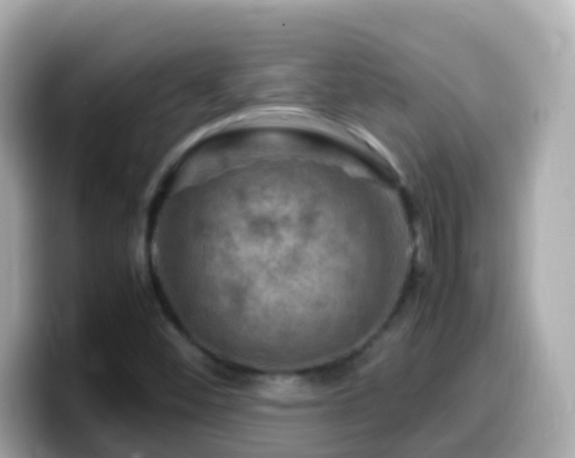 X0000099571452200805231522