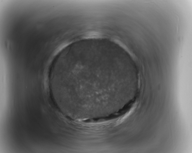 X0000099571453200805231522