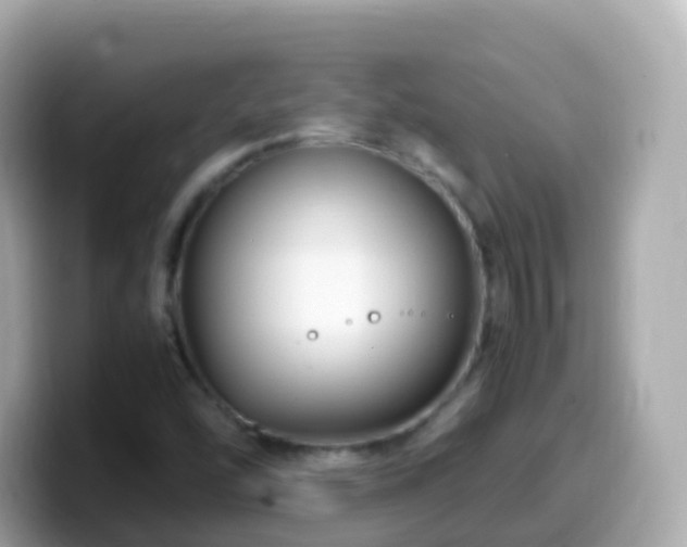 X0000099571454200805231522