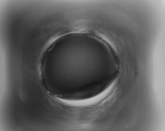 X0000099571455200805231522