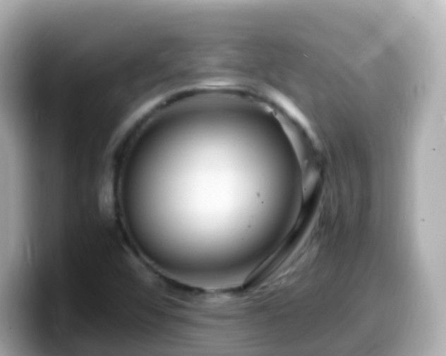 X0000099571456200805231522