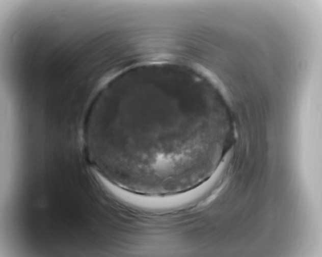 X0000099571457200805231522