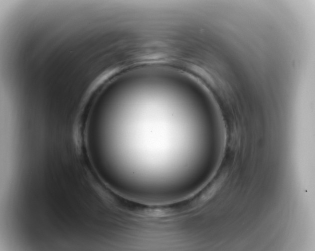 X0000099571458200805231522