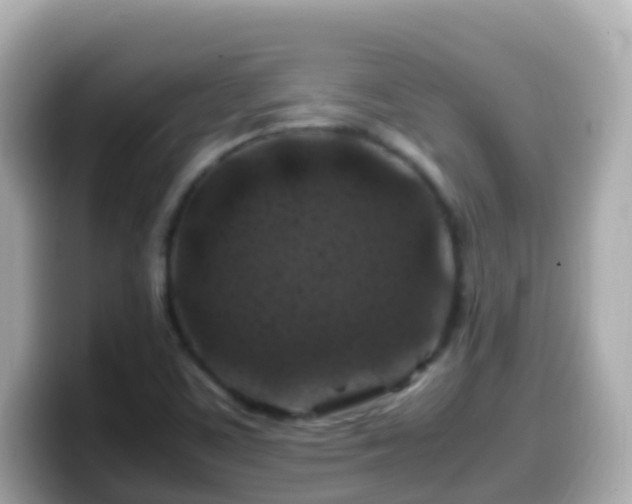 X0000099571459200805231522