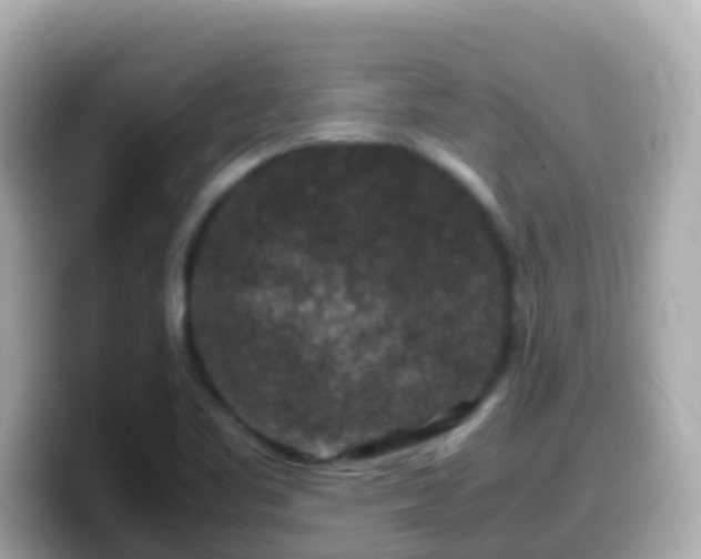 X0000099571461200805231522