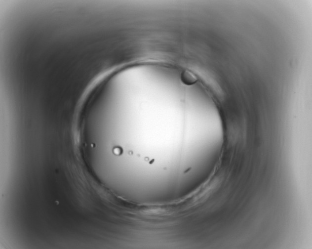 X0000099571462200805231522