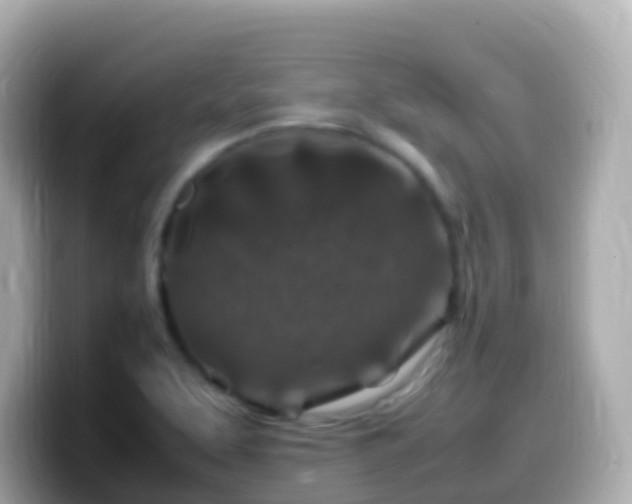 X0000099571463200805231522