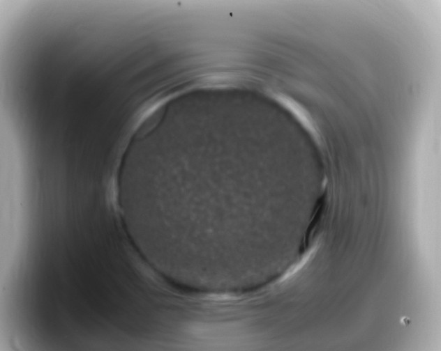 X0000099571465200805231522