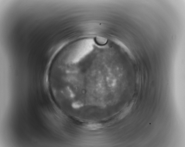 X0000099571466200805231522