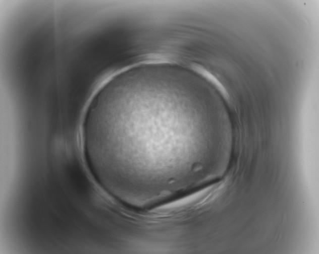 X0000099571467200805231522