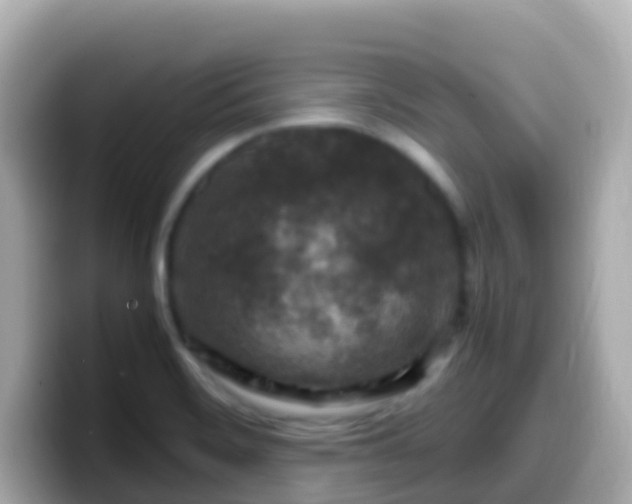 X0000099571468200805231522