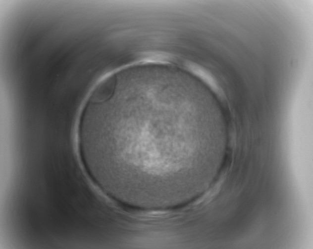 X0000099571471200805231522