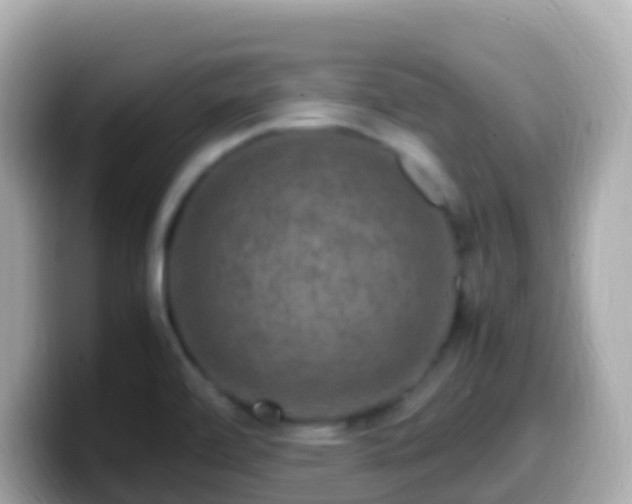 X0000099571472200805231522