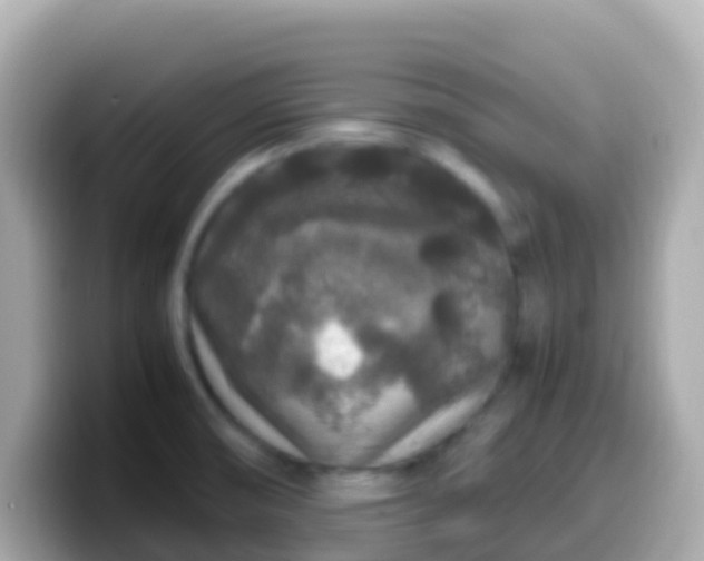 X0000099571474200805231522