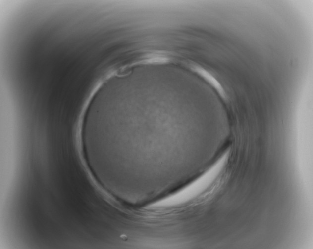 X0000099571475200805231522