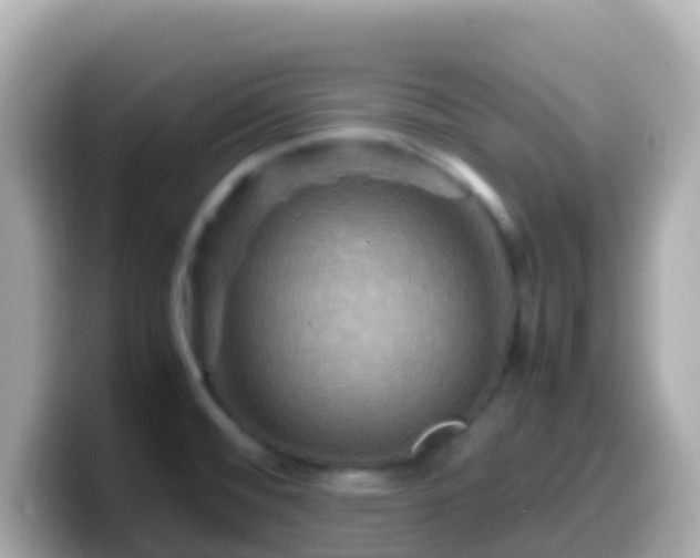 X0000099571476200805231522