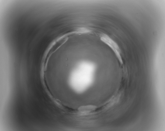 X0000099571477200805231522