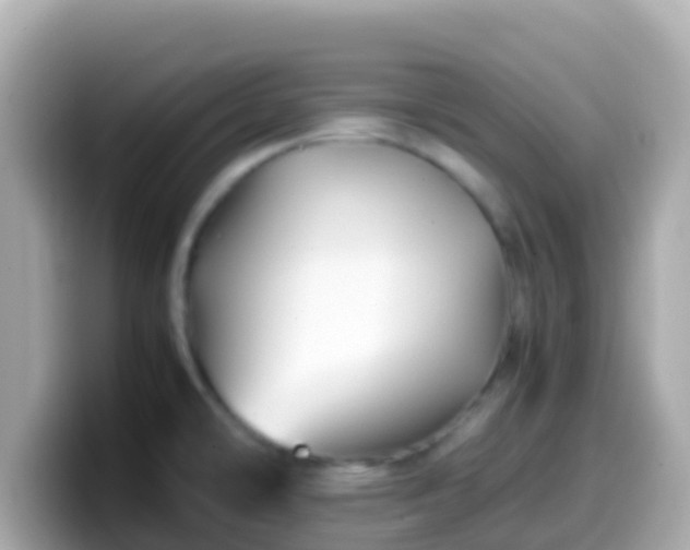 X0000099571478200805231522