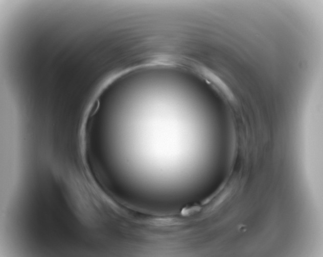 X0000099571479200805231522