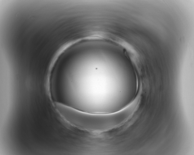 X0000099571480200805231522