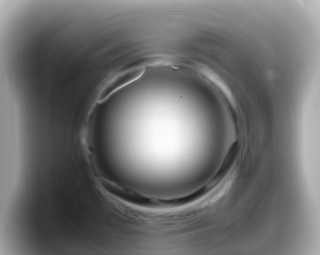 X0000099571481200805231522