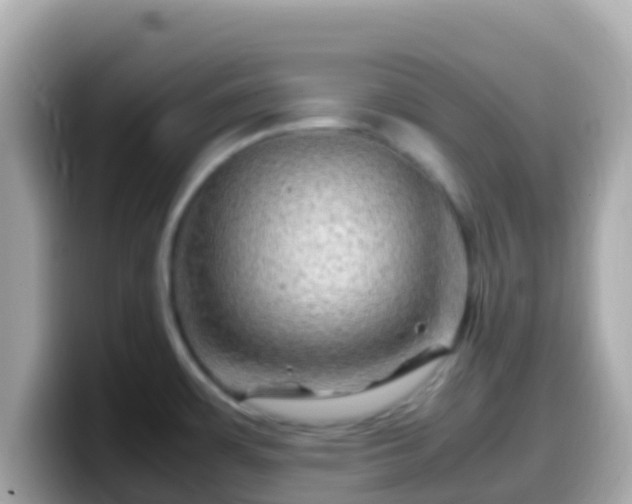 X0000099571483200805231522