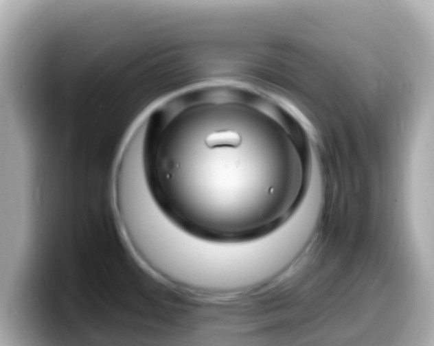 X0000099571484200805231522