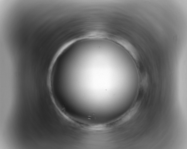 X0000099571486200805231522