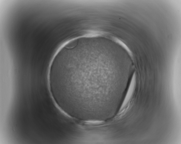 X0000099571487200805231522