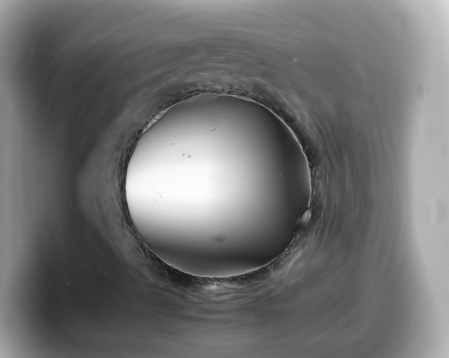 X0000099571489200805231521