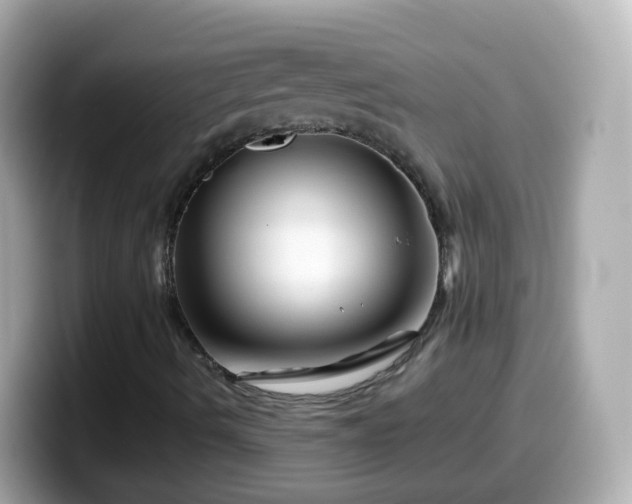 X0000099571490200805231521