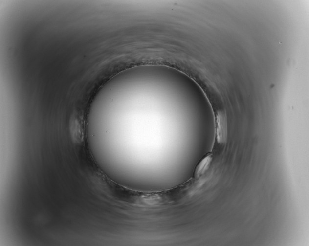 X0000099571491200805231521