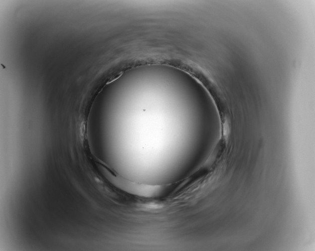 X0000099571492200805231521