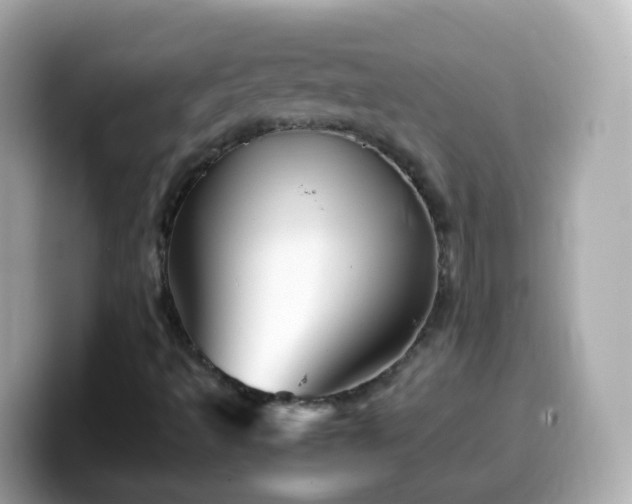 X0000099571493200805231521