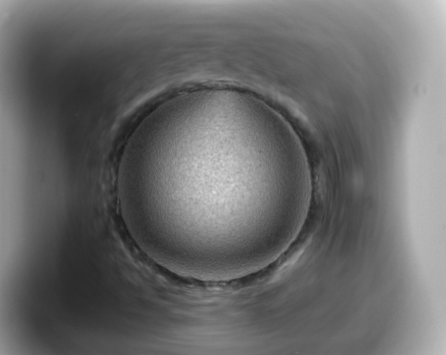 X0000099571494200805231521