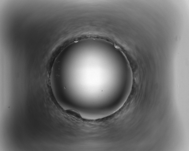 X0000099571495200805231521