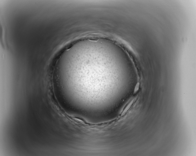 X0000099571496200805231521