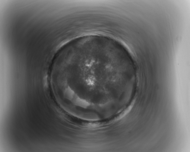 X0000099571497200805231521