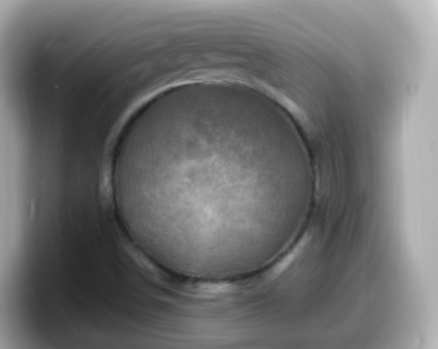 X0000099571498200805231521