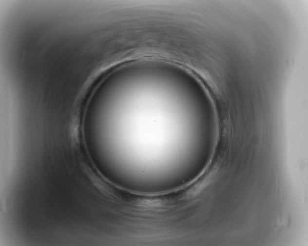 X0000099571499200805231521