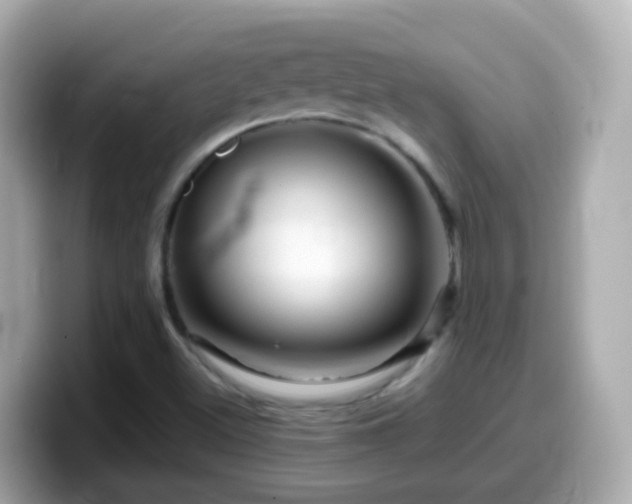 X0000099571500200805231521