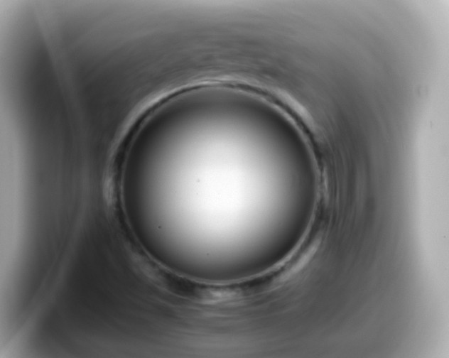 X0000099571501200805231521