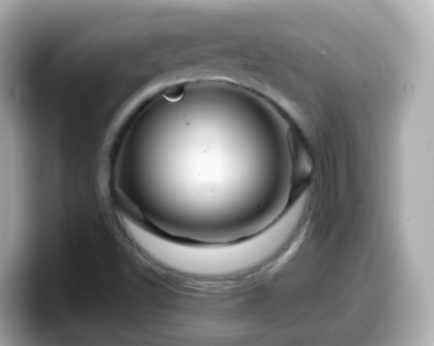 X0000099571502200805231521