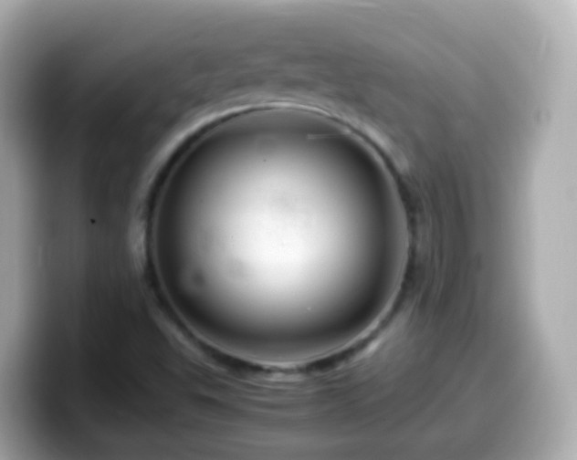 X0000099571503200805231521